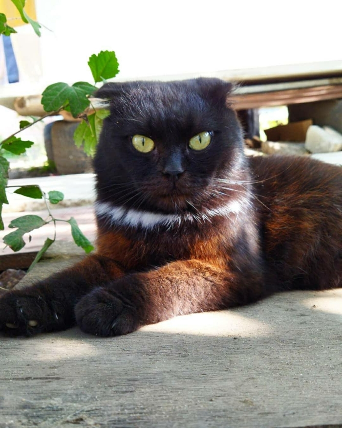 �������� ������