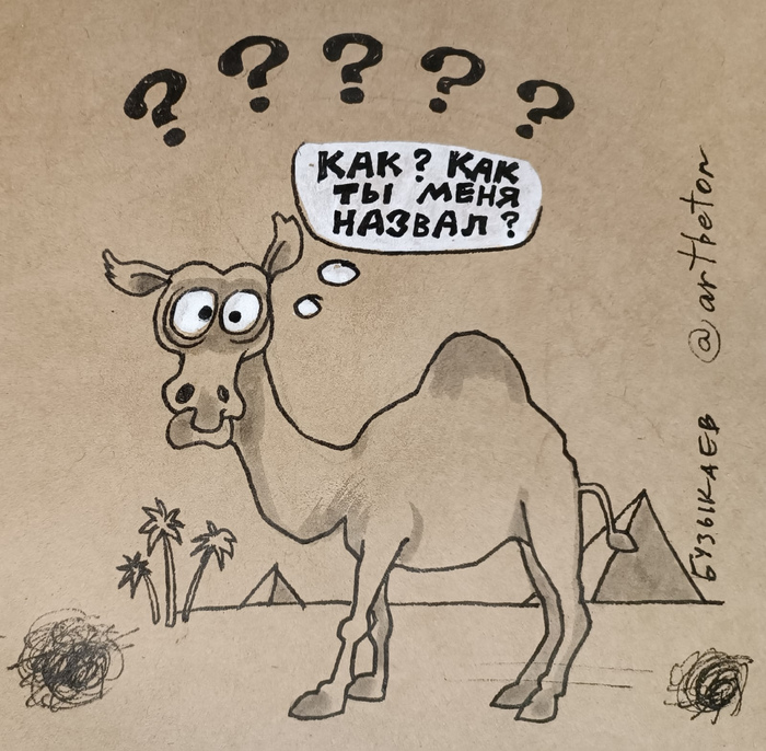 �, �������, ���� ���������