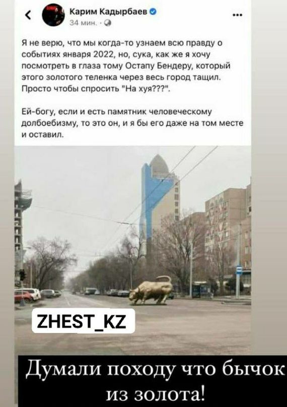 What for? And most importantly? - Kazakhstan, Idiocy, Video, Longpost, Mat, Protests in Kazakhstan, Bull