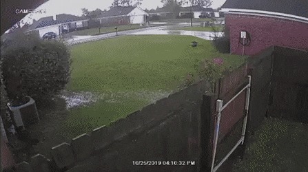   , , , 