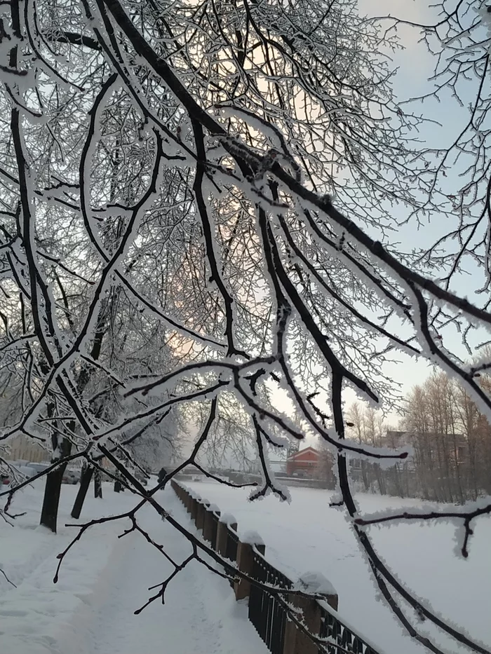 Морозное настроение - Моё, Санкт-Петербург, Фотография, Зима