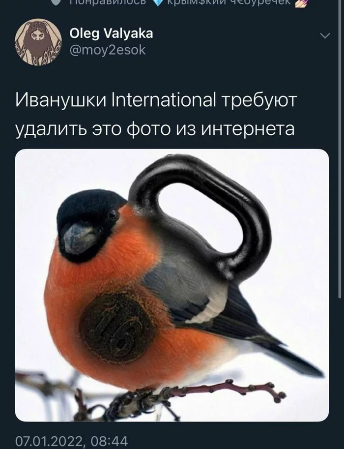 From the network - Humor, From the network, Picture with text, Bullfinches, Twitter, Ivanushki International, Weight
