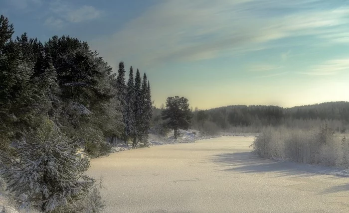 Off-hours - My, Middle Ural, Winter, Landscape, Tree, Perspective