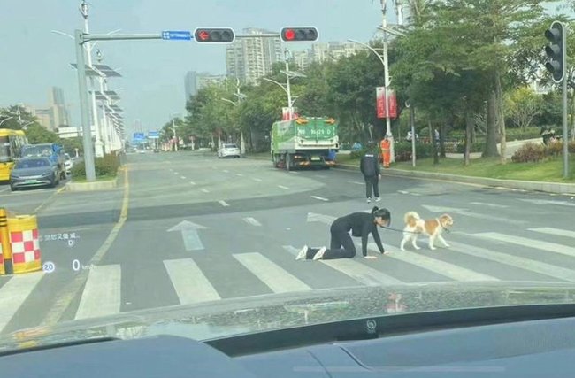 Walking a pet - Girls, Dog