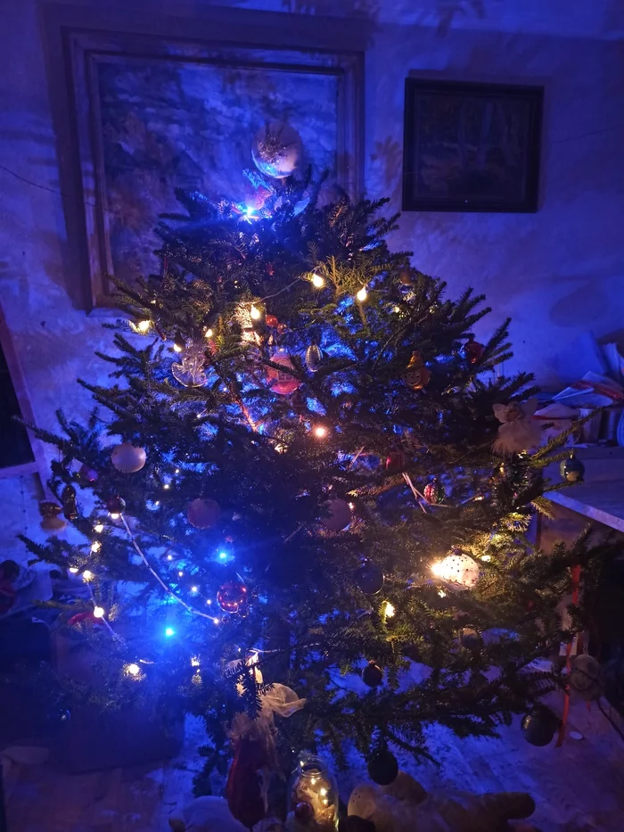 A journey along the Christmas tree - My, Life stories, A life, New Year, Childhood, Christmas, Christmas tree, Ball, Christmas decorations, The Forest Raised a Christmas Tree, Family, Creation, Village, House in the village, Painting, My defense, Longpost