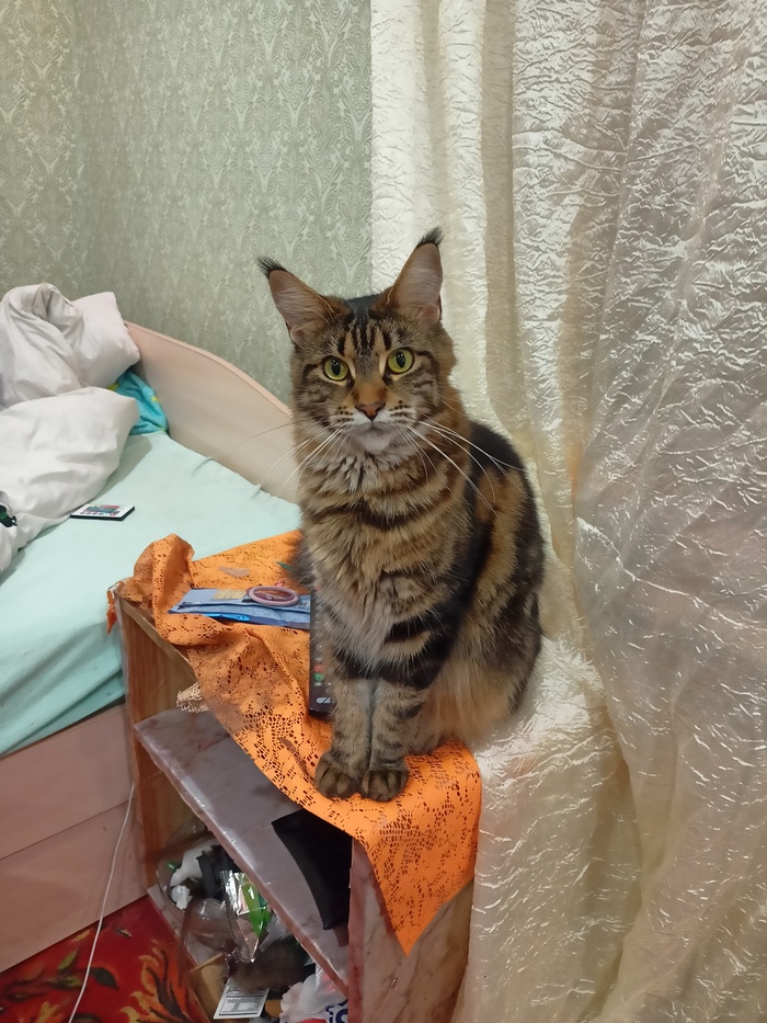 Посоветуйте друзья насчёт тв