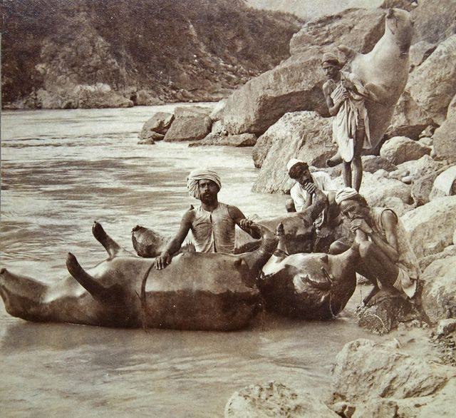 Inflatable boats made of buffalo leather, 1900s, India - India, Old photo, The photo, Buffalo, Inflatable boat, Leather, River, 1900, Amazing, Black and white photo, Rarity, Himalayas, Bubbles