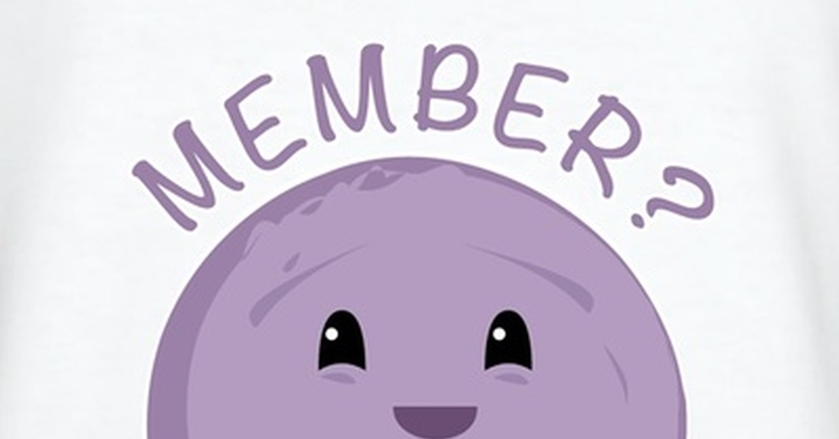 я помню вспоминашки. Family vocabulary английский. Add members telegram. ягоды вспоминашки южный парк. South park 'member? i 'member.