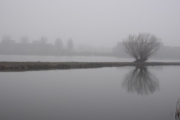 Вчера Голландию накрыл туман