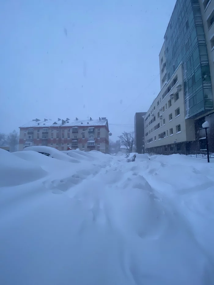 В Южно-Сахалинске введён режим ЧС из-за циклона - Моё, Сахалин, Циклон, Метель, Южно-Сахалинск, Снег, Погода, Видео, Длиннопост, Вертикальное видео