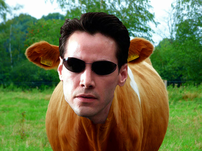 Ответ на пост «Что есть реальность? И как определить её?(с)»