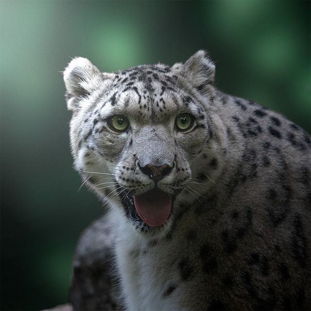 �� ��� ��� �����?