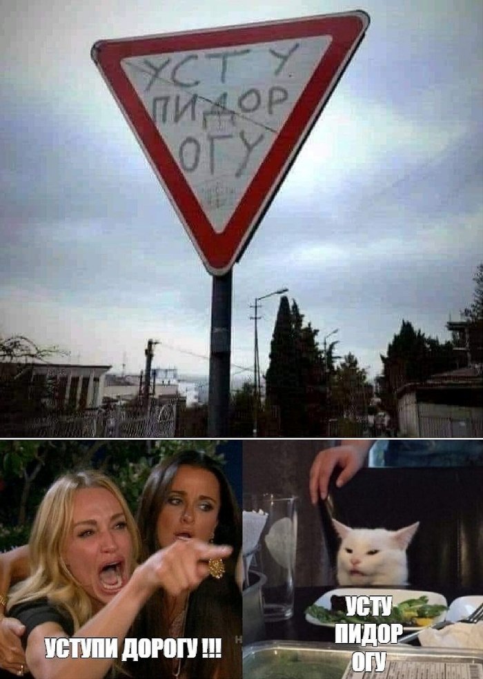 Give way... - Two women yell at the cat, Rock ebol, Road sign, Give Way, Repeat