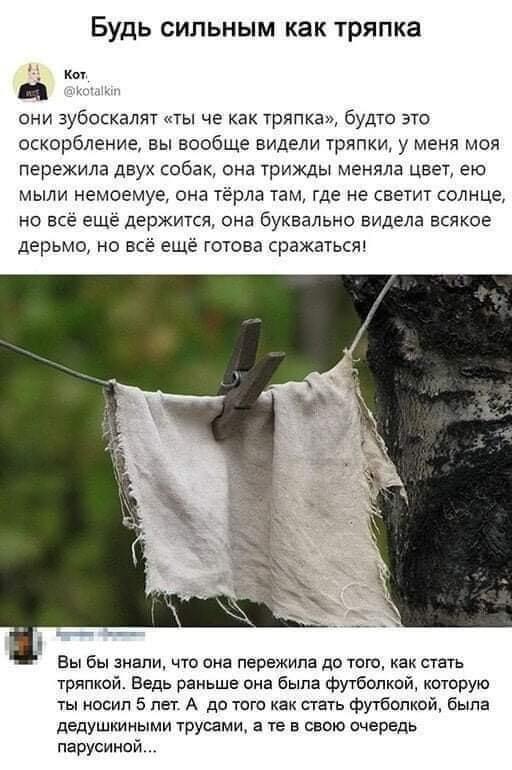 Parusina :) - Rag, T-shirt, Underpants, Grandfather, Twitter