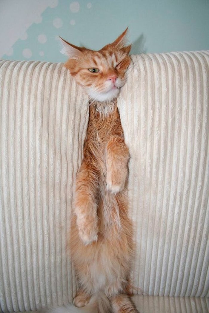  ? , , , ,  