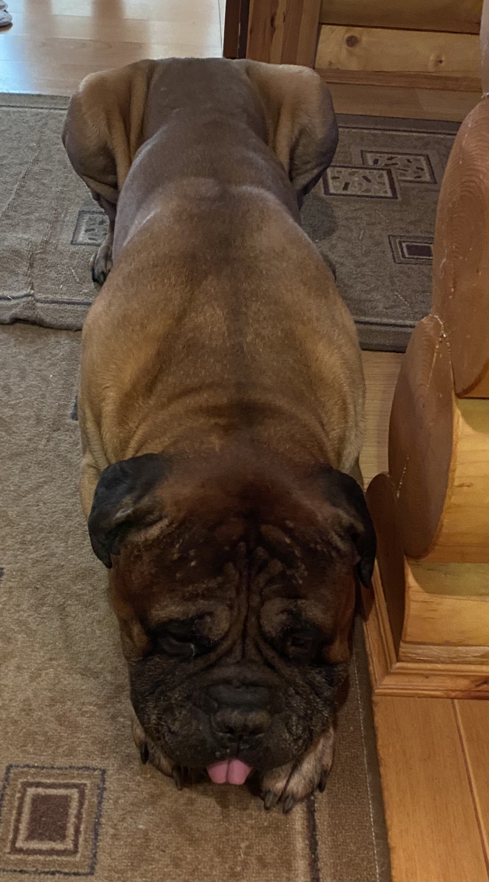 Вот вам… устал я…