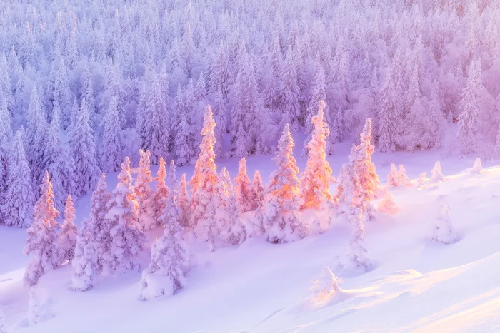 Ural Christmas trees - My, Nature, beauty of nature, The photo, Travel across Russia, Landscape, Ural, Southern Urals, Ural mountains, Zigalga, The nature of Russia, Longpost