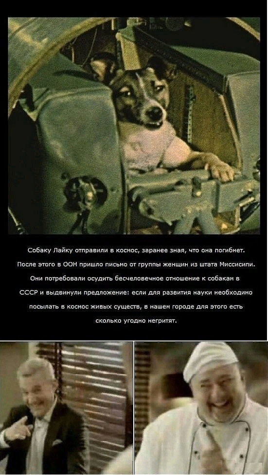 Animal lovers - USA, Space, Laika, Dog, Double standarts, Picture with text, Hypocrisy, Repeat, the USSR, UN