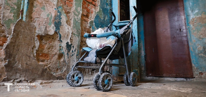 ������ ���: ������� ������������ �� ��������� ���������� ���� � ��������