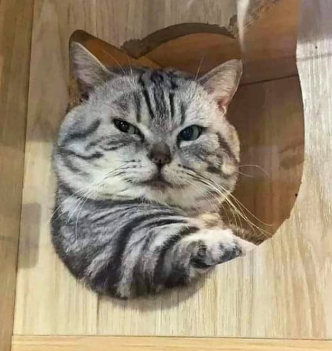 �������