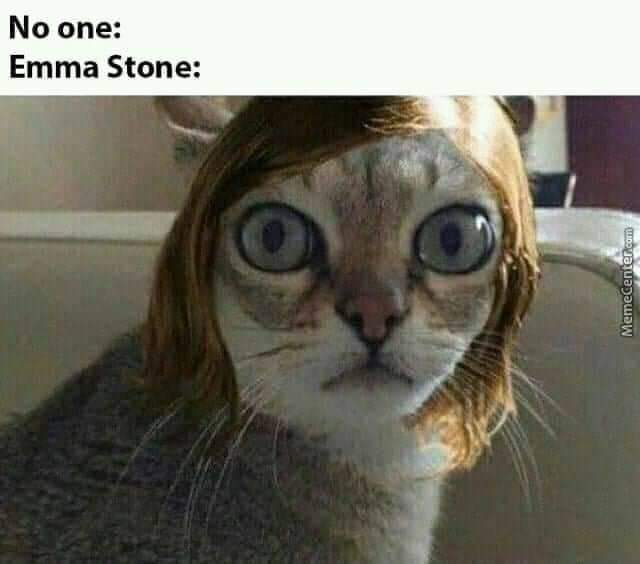 Emma, she's like that) - Humor, Emma Stone, cat