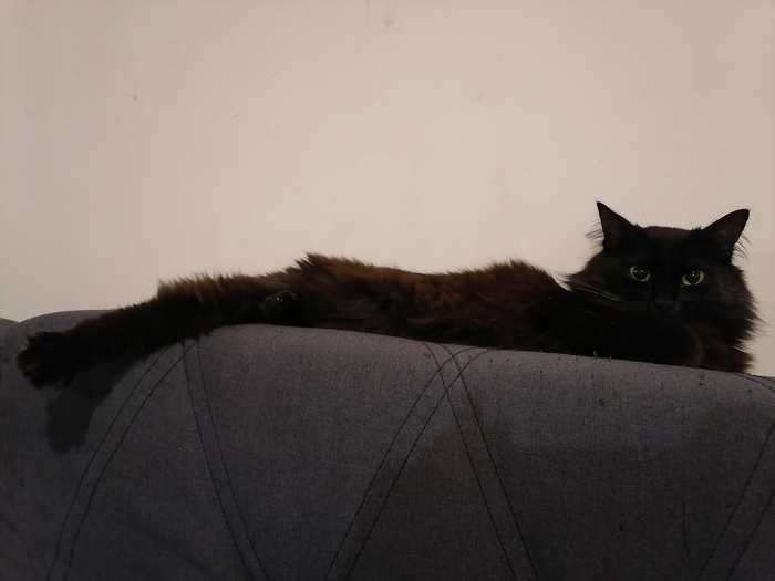 Деловая колбаса.))