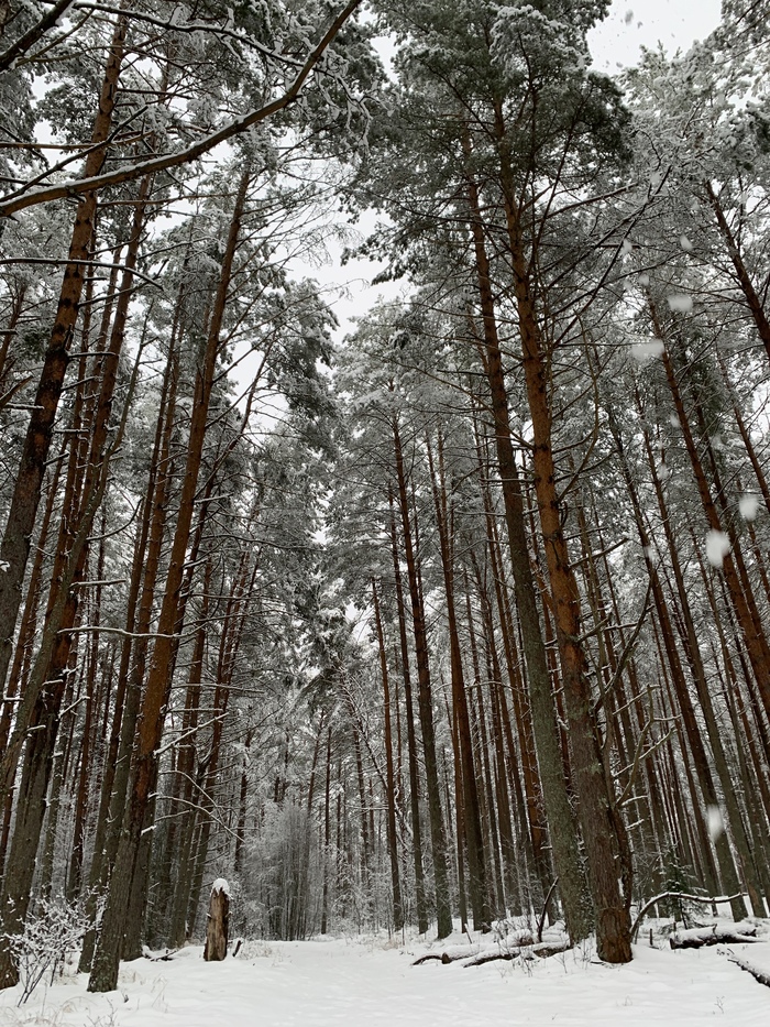 ��� ������������, ������������ � ����� ��������� ���������