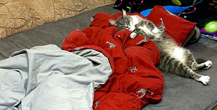 � ����� ���� ��� �������