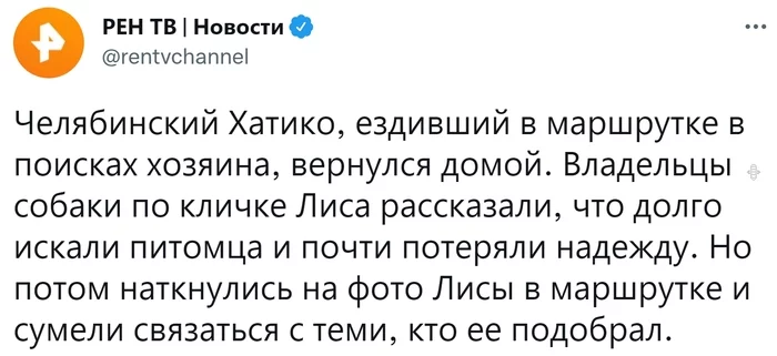 Response to the post The owners have been looking for a dog named Fox for almost two weeks - Kopeysk, Dog, Husky, Minibus, Ren TV, Screenshot, Twitter, Hachiko, Video, Reply to post