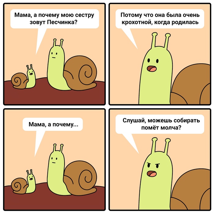  1341:         , , , , 