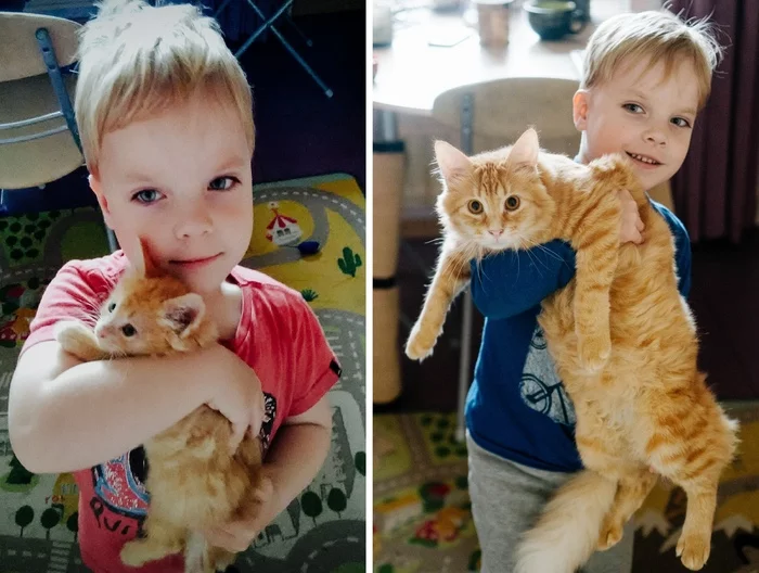 The difference is exactly six months - My, cat, Children, It Was-It Was, Pets, Redheads