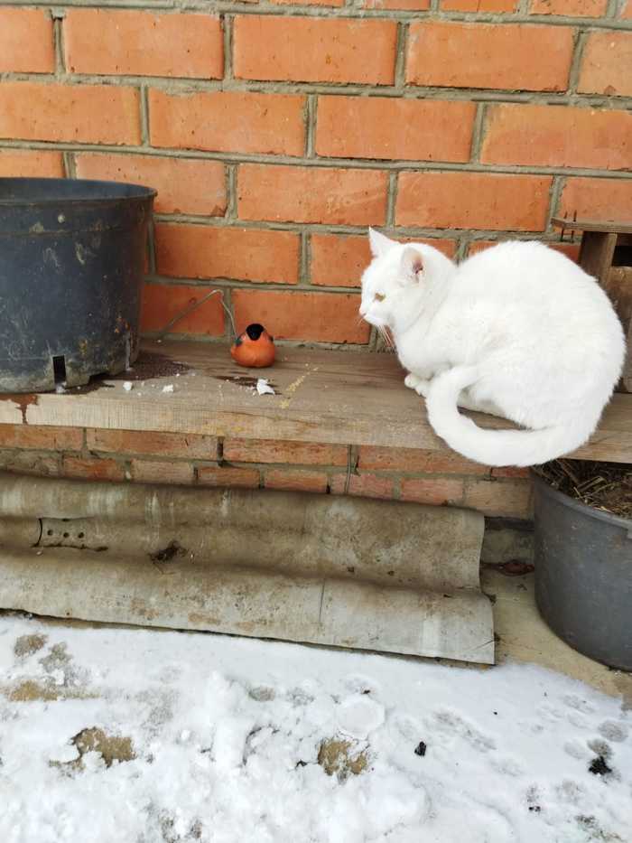 �� �����������, ��� ��� �� �����