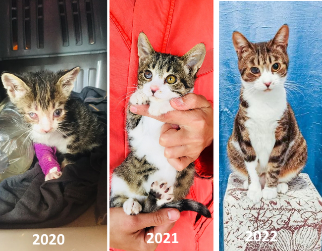 Ответ на пост «Всем привет!»