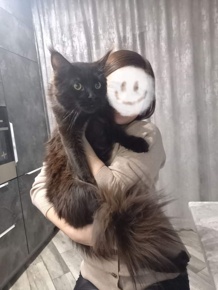     ! , ,  , , -, , , -, ,   , 