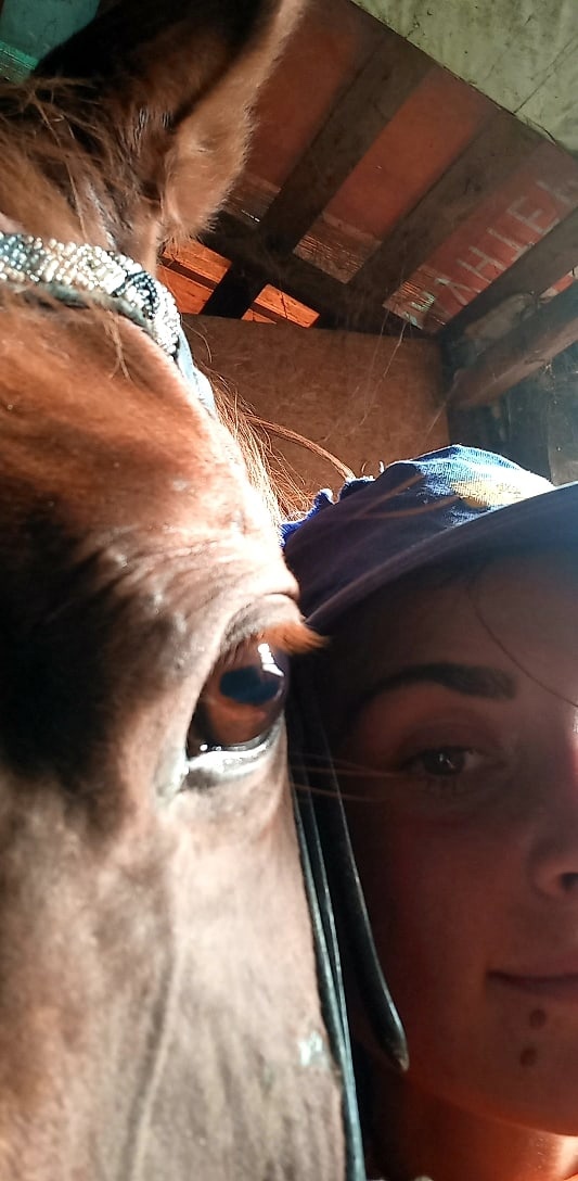 Archive of March 3, 2019 - My, Horses, Horseback Riding, Sport, Sports girls, Jumping, Dressage, friendship, Longpost, Video