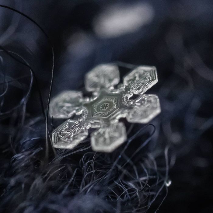 �������� � �����������