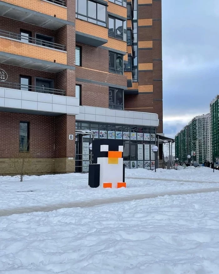 Mr. Penguin Dedicated to Ice - My, Saint Petersburg, Memes, Ice, 2022, Penguins, Winter