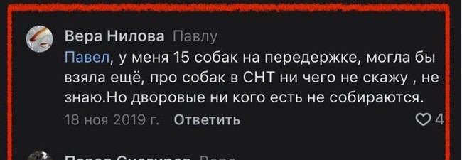 Response to the post Terrible tragedy near Tver: dogs on overexposure tore apart the six-year-old son of the owner - Tragedy, Negative, Incident, Dog attack, Dog, Reply to post, Longpost