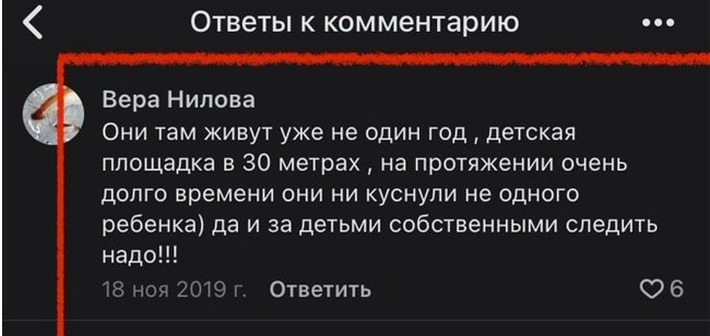 Response to the post Terrible tragedy near Tver: dogs on overexposure tore apart the six-year-old son of the owner - Tragedy, Negative, Incident, Dog attack, Dog, Reply to post, Longpost