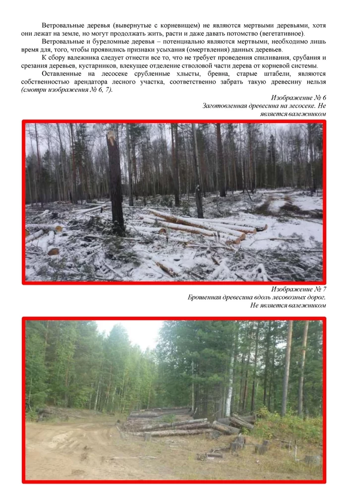 Памятка по сбору валежника Закон, Лес, Право, Штраф, Длиннопост