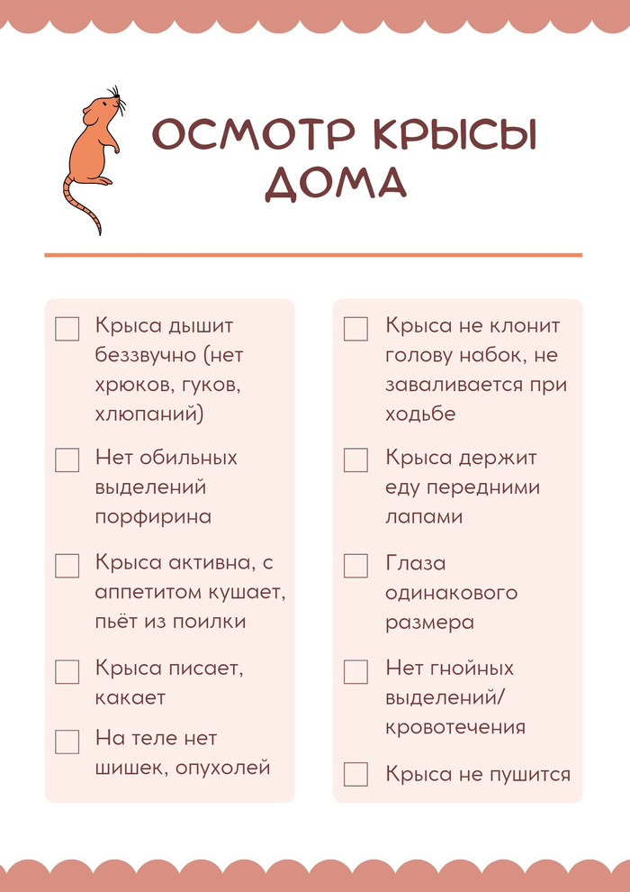 ���-���� ��� �����