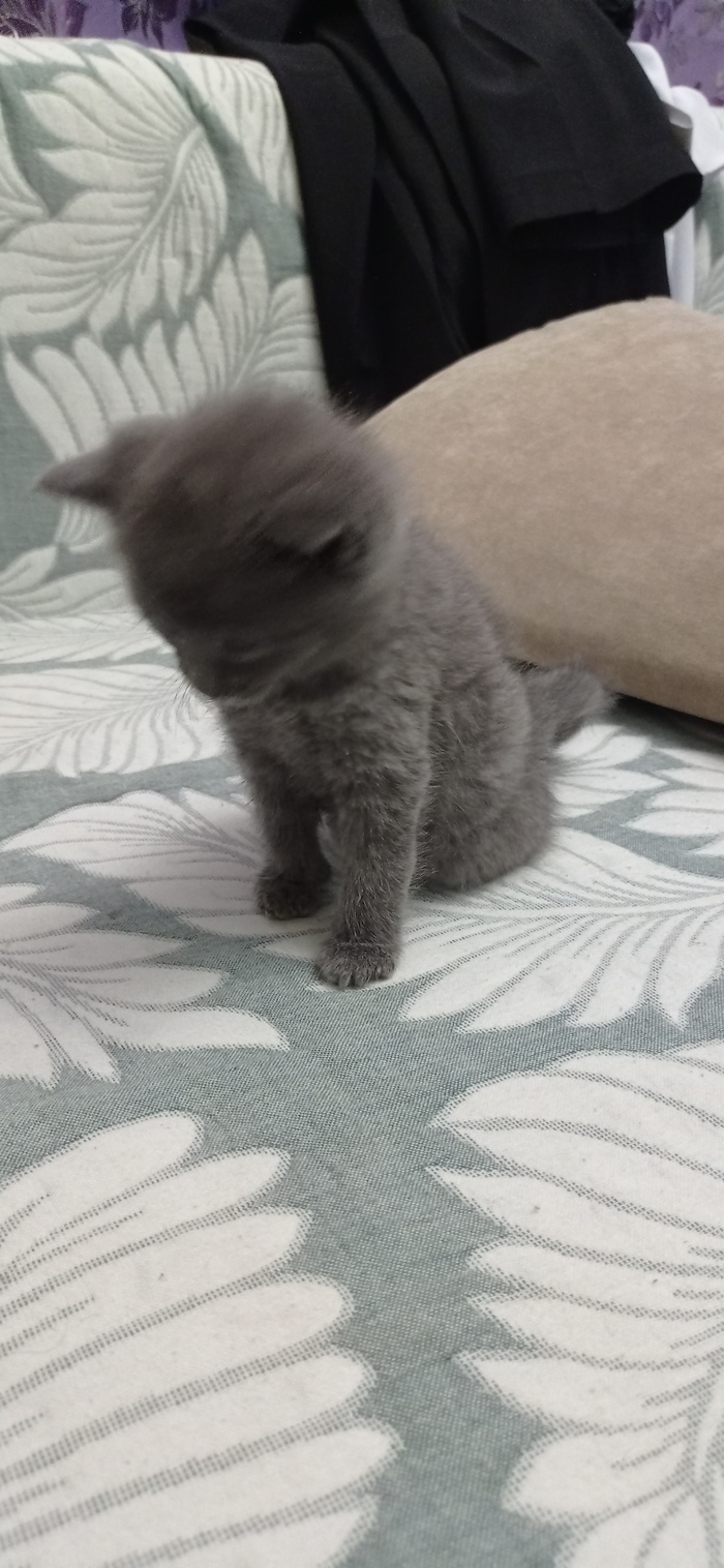 видео страшно очень страшно если бы мы знали что это такое мы не знаем что. Смотреть фото видео страшно очень страшно если бы мы знали что это такое мы не знаем что. Смотреть картинку видео страшно очень страшно если бы мы знали что это такое мы не знаем что. Картинка про видео страшно очень страшно если бы мы знали что это такое мы не знаем что. Фото видео страшно очень страшно если бы мы знали что это такое мы не знаем что видео страшно очень страшно если бы мы знали что это такое мы не знаем что. Смотреть фото видео страшно очень страшно если бы мы знали что это такое мы не знаем что. Смотреть картинку видео страшно очень страшно если бы мы знали что это такое мы не знаем что. Картинка про видео страшно очень страшно если бы мы знали что это такое мы не знаем что. Фото видео страшно очень страшно если бы мы знали что это такое мы не знаем что