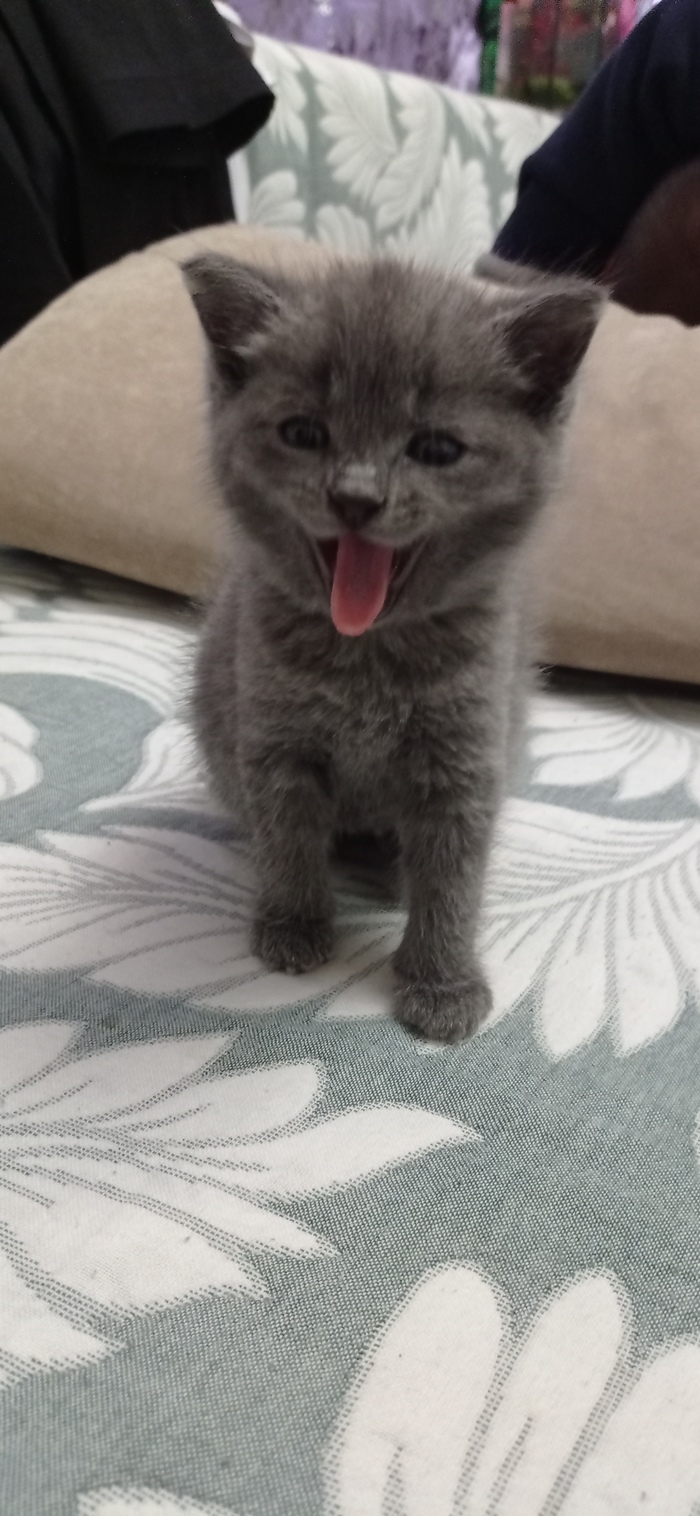 видео страшно очень страшно если бы мы знали что это такое мы не знаем что. Смотреть фото видео страшно очень страшно если бы мы знали что это такое мы не знаем что. Смотреть картинку видео страшно очень страшно если бы мы знали что это такое мы не знаем что. Картинка про видео страшно очень страшно если бы мы знали что это такое мы не знаем что. Фото видео страшно очень страшно если бы мы знали что это такое мы не знаем что видео страшно очень страшно если бы мы знали что это такое мы не знаем что. Смотреть фото видео страшно очень страшно если бы мы знали что это такое мы не знаем что. Смотреть картинку видео страшно очень страшно если бы мы знали что это такое мы не знаем что. Картинка про видео страшно очень страшно если бы мы знали что это такое мы не знаем что. Фото видео страшно очень страшно если бы мы знали что это такое мы не знаем что