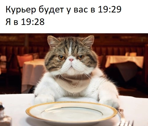 Yum - Memes, cat, Food, Hunger, Delivery