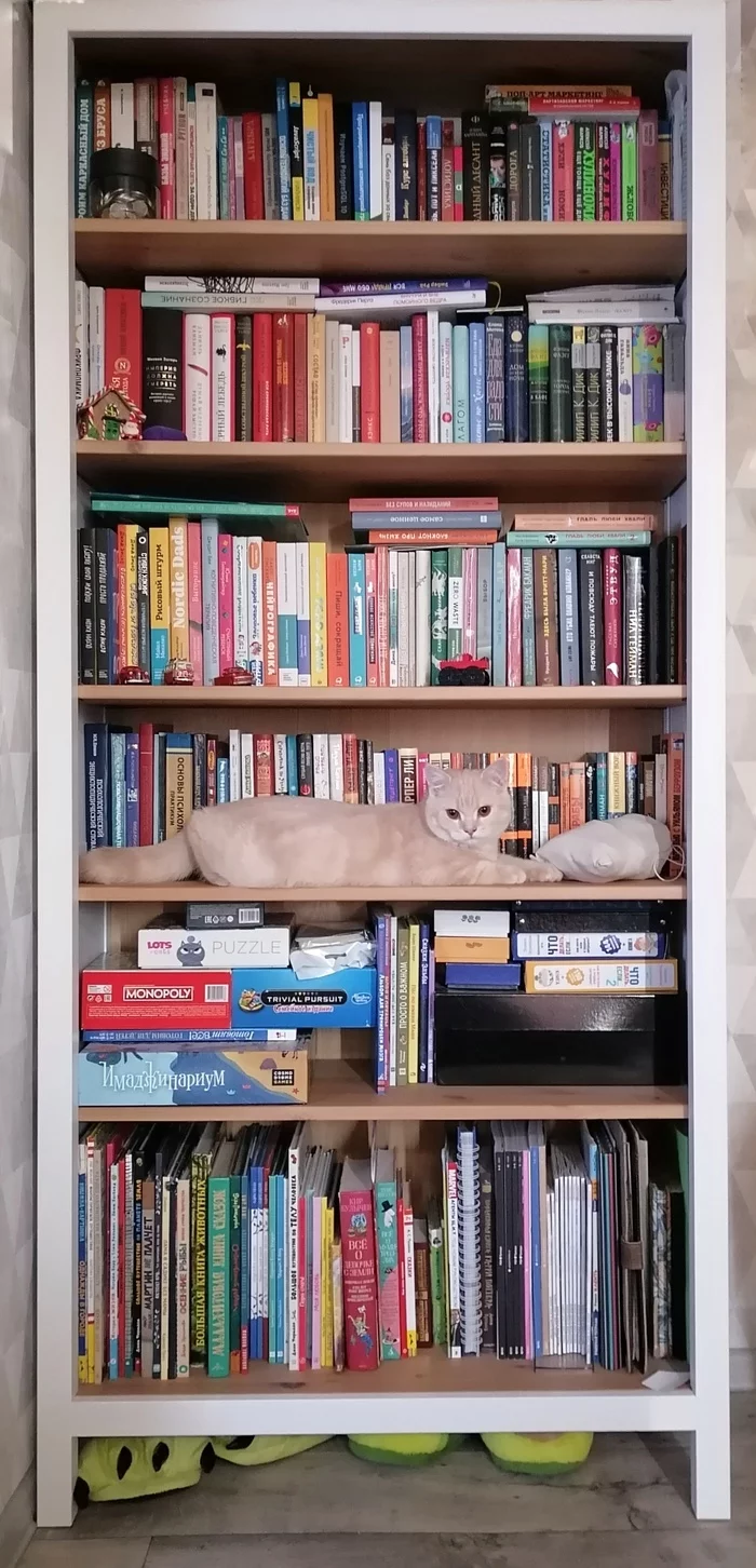 Almost a learned cat - My, cat, Books, Scientist cat, Pets