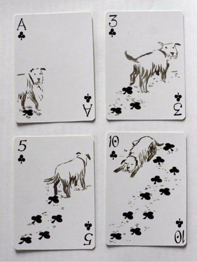 Three seven five aces - Humor, Cards, Dog