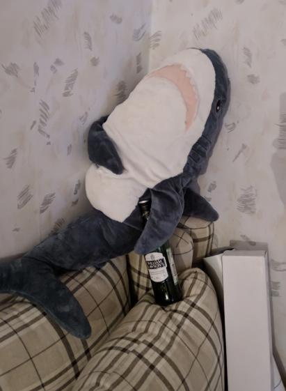 When he lived until Friday night - Shark, Whiskey, Humor, The photo, Strange humor, Alcohol