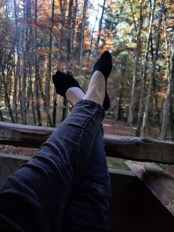 Мысли в слух