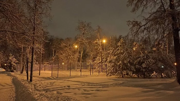 Winter evening in the park - My, Winter, The park, Snow, Snowdrift, Christmas trees, Tree, Fuck aesthetics