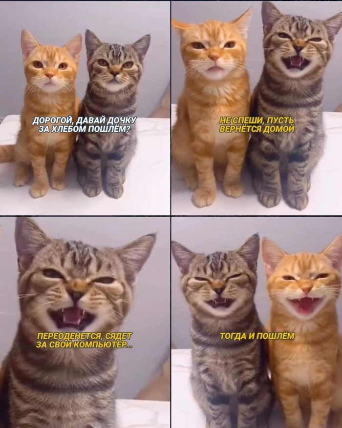 ������������ ����������